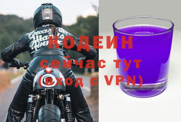 стаф Вяземский