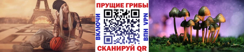 Галлюциногенные грибы ЛСД  Горнозаводск 